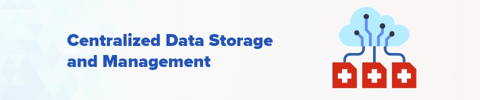Centralized Data Storage and Management
