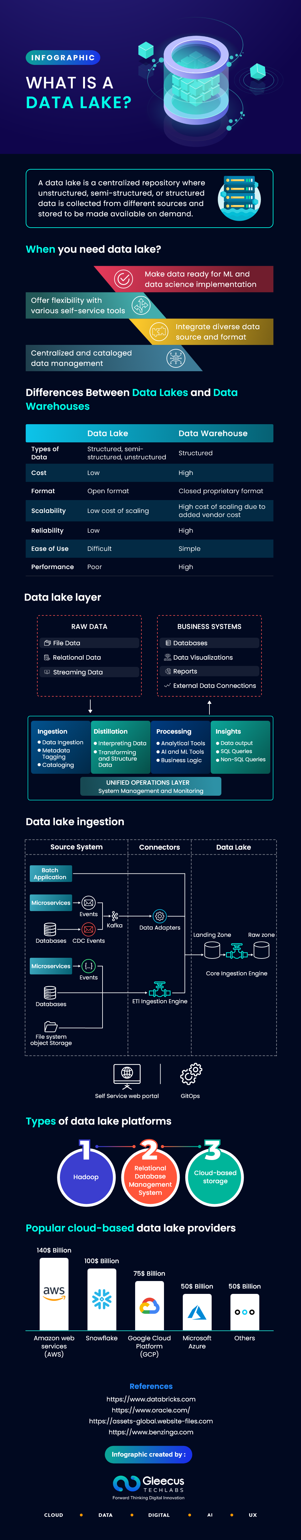 Data lake infographic