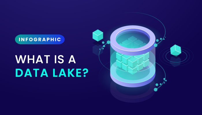 what is a data lake infographc
