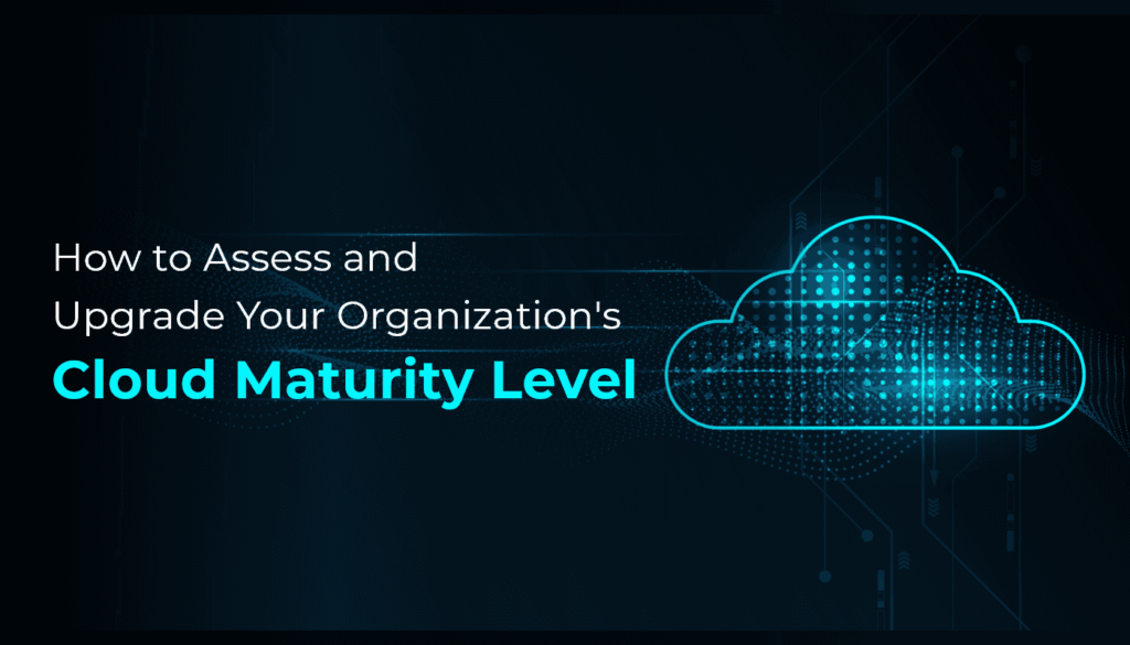 Cloud Maturity Level