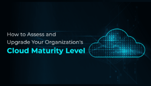 Cloud Maturity Level