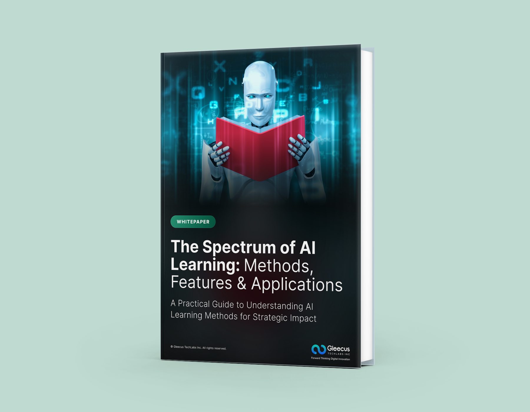 Spectrum of AI Learning