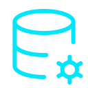 Data Hygiene & Quality Audit